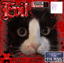 Cat Evil GIF - Cat Evil Pixmix GIFs