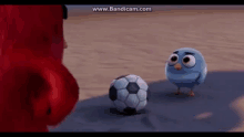 Eyebrows Red GIF - Eyebrows Red Angry Birds GIFs