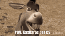 Kasparas Per GIF - Kasparas Per Cs GIFs