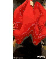a woman with a flower crown on her head is holding a red blanket .