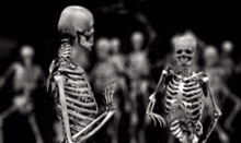 skeleton animation dancing