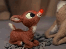 Rudolph GIF - Rudolph GIFs