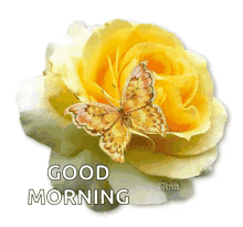 Good Morning Sparkles GIF - Good Morning Sparkles Yellow Rose GIFs