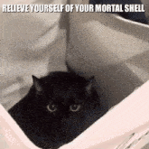 cat cats black cats relieve yourself of your mortal shell jumpscare
