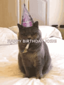Cat Birthday GIF - Cat Birthday Happybirthday GIFs