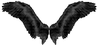 Angel Wings Sticker - Angel Wings Stickers