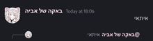 a screenshot of a chat between a girl and a cat with a time of 18:06