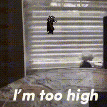 a person standing in front of a window with the words i 'm too high on the bottom
