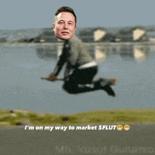Flut Elon GIF