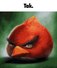 Tak Angry Birds Tak GIF - Tak Angry Birds Tak Angrybirds GIFs