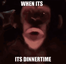 Dinnertime Monkey GIF - Dinnertime Monkey When Its Dinner Time GIFs