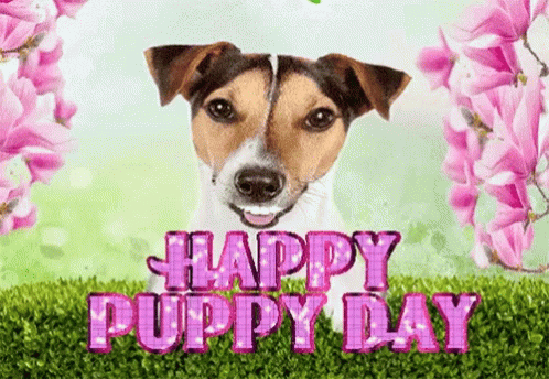 Puppy Cute GIF - Puppy Cute HappyPuppy - Discover & Share GIFs