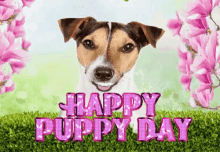 National Puppy Day Happy National Puppy Day GIF - National Puppy Day Happy National Puppy Day Happy Puppy Day GIFs