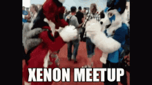 Xenon Furry GIF - Xenon Furry Meetup GIFs