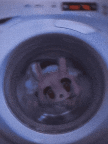 Mishymolly Mollymishy GIF - Mishymolly Mollymishy Spin GIFs