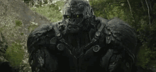 Optimus Primal Transformers Rise Of The Beasts GIF