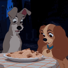 Dogs Eating Noodles GIF - Dogs Eating Noodles Cute GIFs