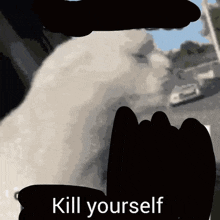 Kill Yourself Kys GIF - Kill Yourself Kys Kys Cat GIFs