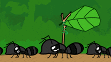 Insect Insects GIF