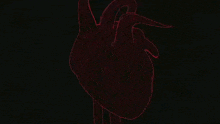 a red drawing of a human heart on a black background