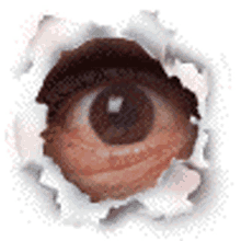 ojo ojo