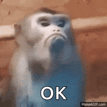Pissed Monkey GIF - Pissed Monkey Angry GIFs
