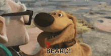 Beard Beards GIF - Beard Beards Distracted GIFs