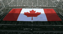 Canada Canadian Flag GIF - Canada Canadian Flag Canada Flag GIFs