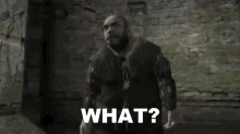 What The Witcher GIF - What The Witcher What Do You Mean GIFs