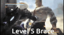 Level5brace GIF - Level5brace GIFs