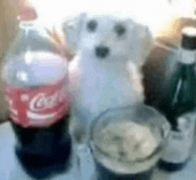 a bottle of coca cola sits on a table next to a glass