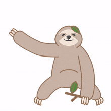 sloth animal cute hi hello