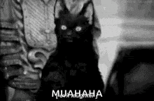 Hahaha Evil Laugh GIF - Hahaha Evil Laugh Black Cat GIFs