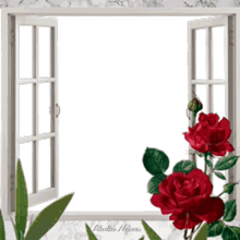 ouvre ta fen%C3%AAtre window flowers