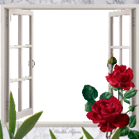 Ouvre Ta Fenêtre Window Sticker - Ouvre Ta Fenêtre Window Flowers Stickers