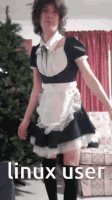 Linux Linux User GIF - Linux Linux User Femboy GIFs