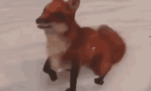 fox dance