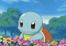 Shayse Squirtle GIF - Shayse Squirtle GIFs