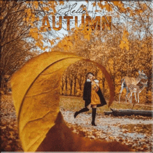 Autumn GIF - Autumn GIFs