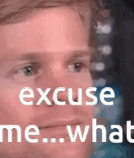 What The Heck Excuse Me What GIF - What The Heck Excuse Me What - Discover  & Share GIFs