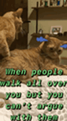 Bully Walk All Over GIF - Bully Walk All Over Stop Bullying Me GIFs