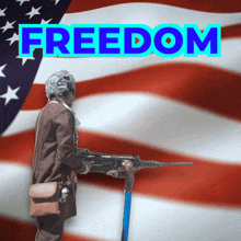 Freedom Land Of The Free GIF