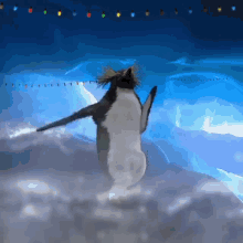 Penguin Dancing Moves GIF - Penguin Dancing Moves Party GIFs