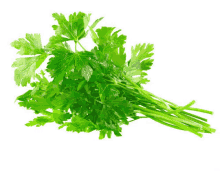 a bunch of green parsley leaves against a white background