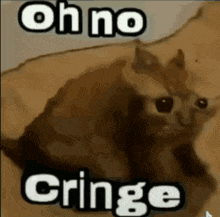 Cringe Cat GIF