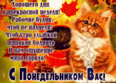 a greeting card with a cat and a cup of coffee