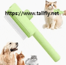 a cat and a dog are standing next to a brush .