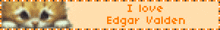 a sign that says i love edgar valden with a picture of a cat