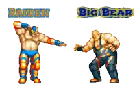 a video game character named raiden and another character named big bear