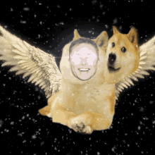 Doge Elon GIF - Doge Elon Musk GIFs